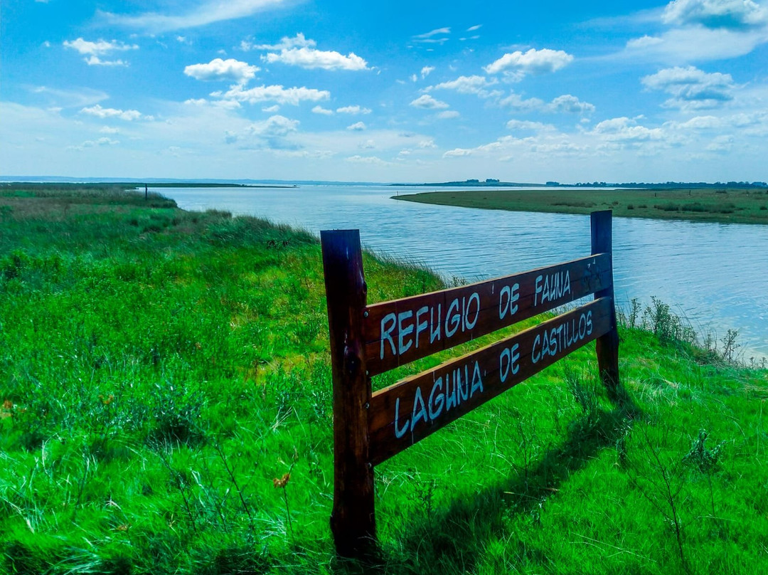 Monte de Ombues-Rocha必去景点