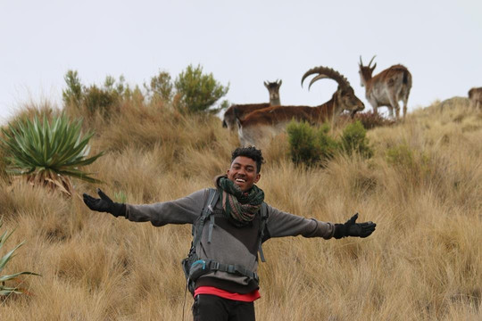 Simien Roof Trek Tours