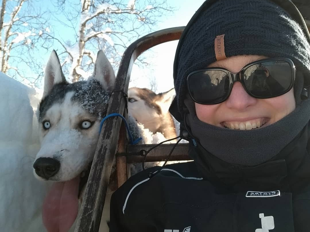 Senja Husky Adventure-Senja必去景点