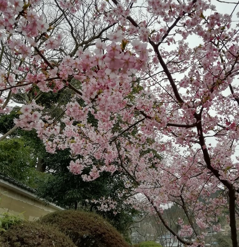Kanshinji Temple-河内长野市必去景点