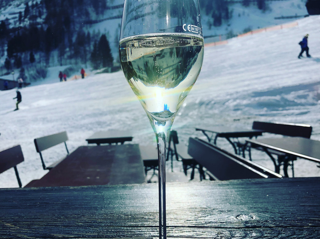 Austria Alpinhotel主图