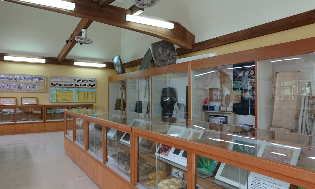 Taketomi Folk Art Museum景点图片