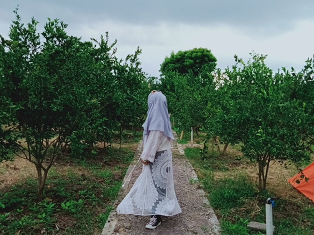 Pemongkong旅游攻略图片