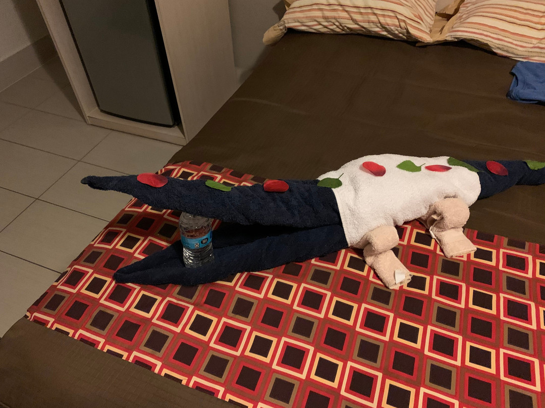 Apollo Inn Motel主图