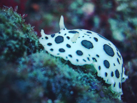 Las Eras旅游攻略图片