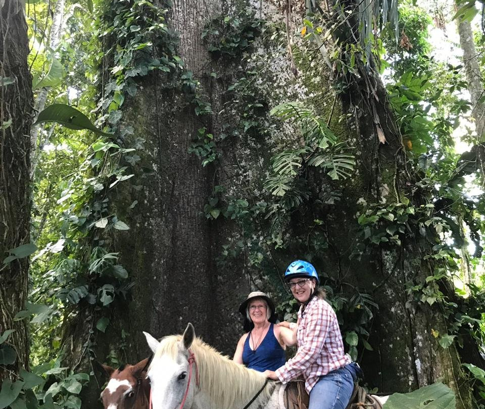 Sabanero Horse Ventures景点图片