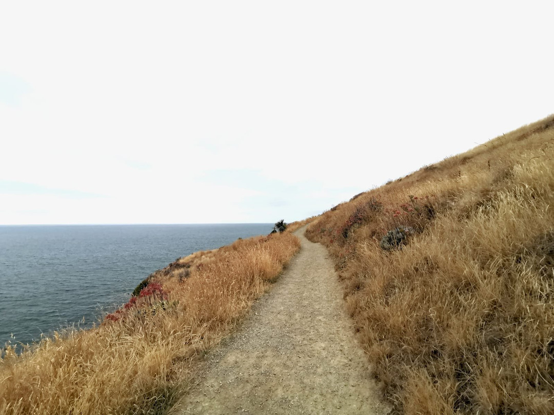 Taylors Mistake - Awaroa / Godley Head Walk景点图片