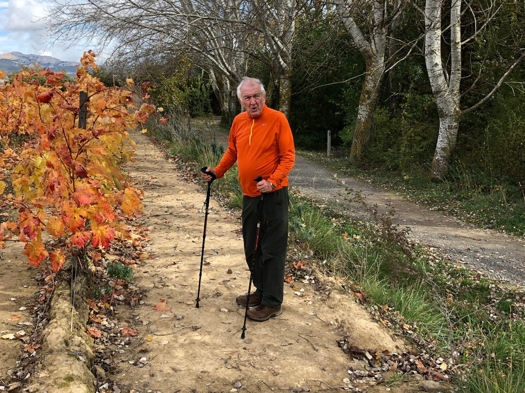 RunRioja-洛格罗尼奥必去景点