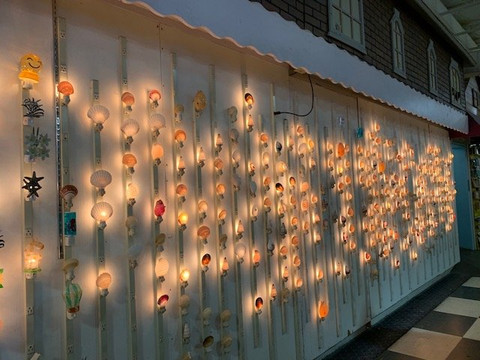 The Shell Factory-迈尔斯堡必去景点