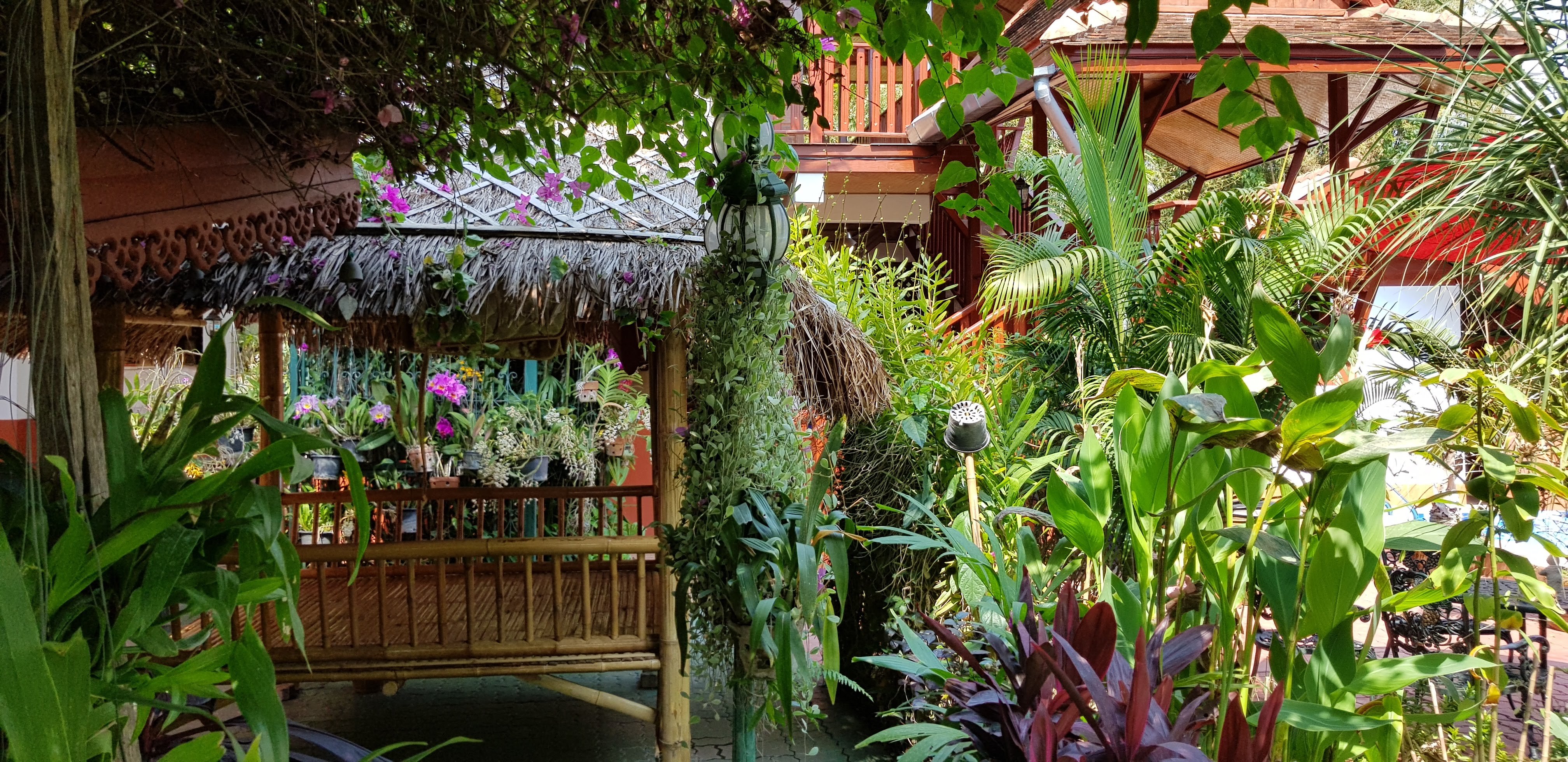 Golden Teak Home-官方