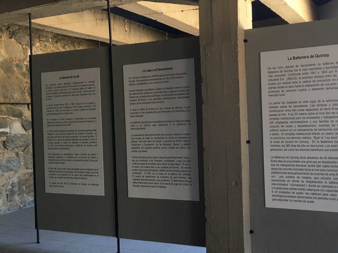 Museo Ex Ballenera de Quintay-Quintay必去景点