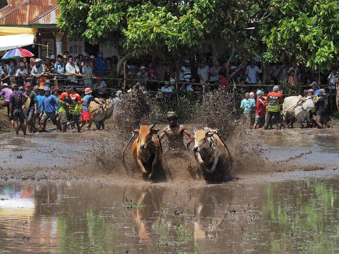 Habibie DelapanTour-武吉丁宜必去景点