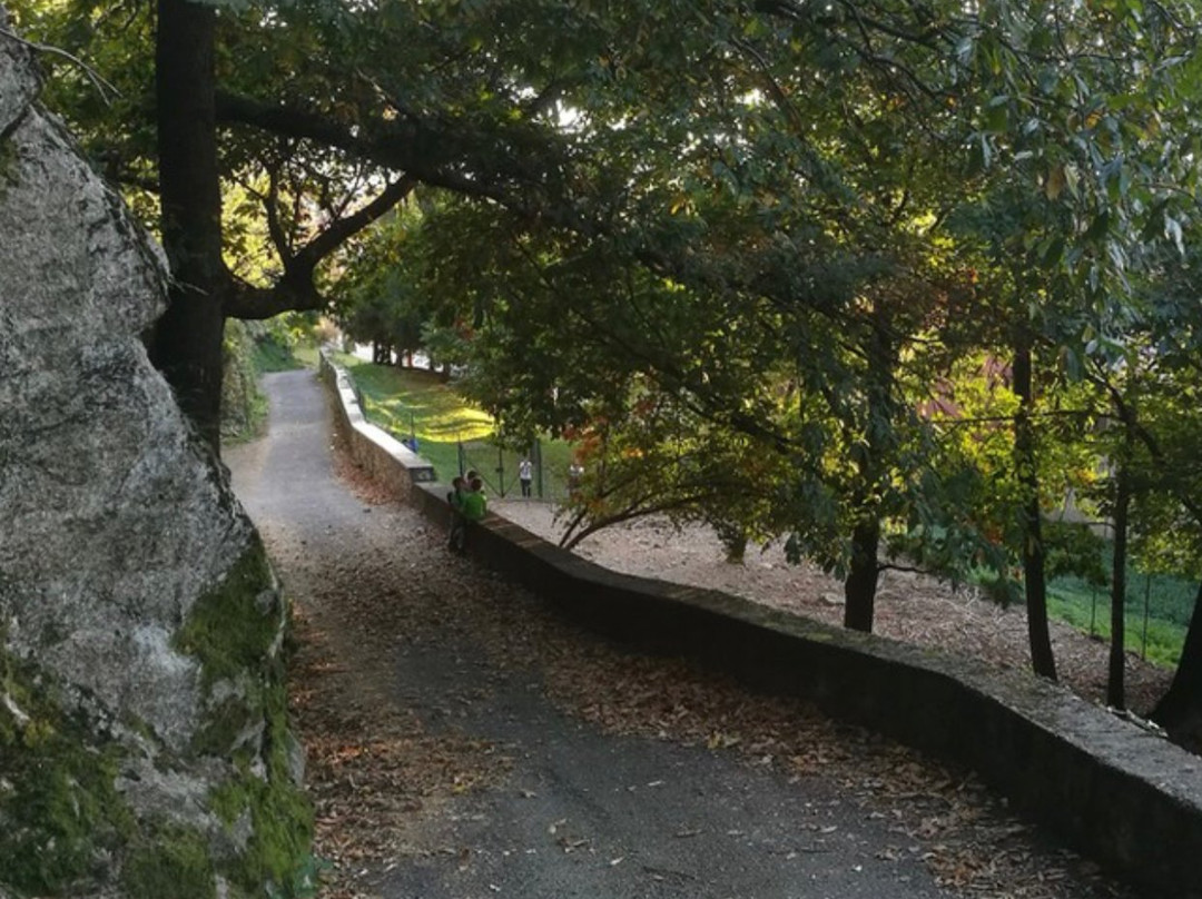 Sentiero 111A Variante Monte Venere景点图片