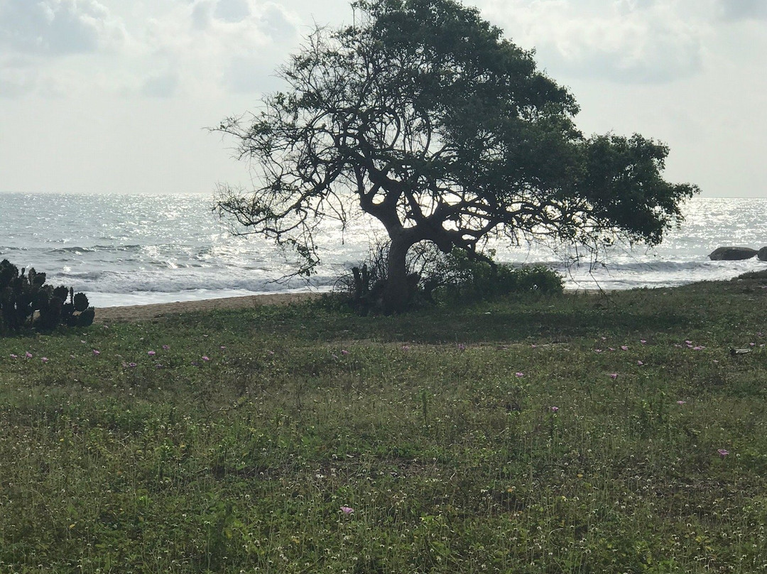 Arne's Place The Friendliest Hotel主图