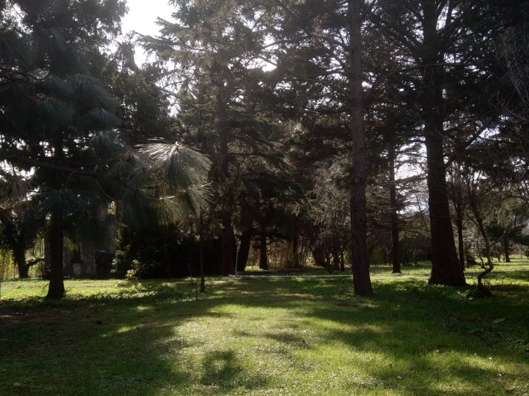 Karaca Ağaç Parkı-Yalova必去景点