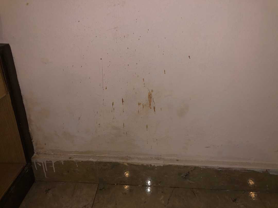 Terrace Valley Hotel主图