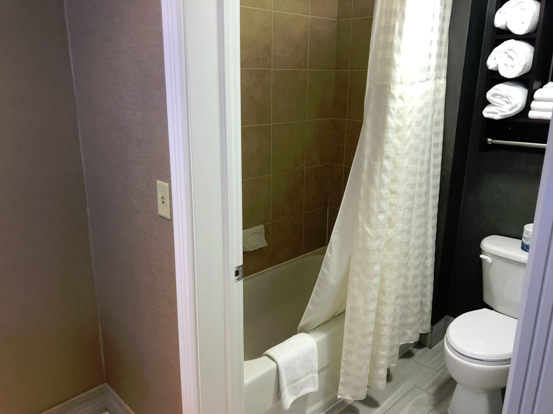 Homewood Suites by Hilton Long Island-Melville主图