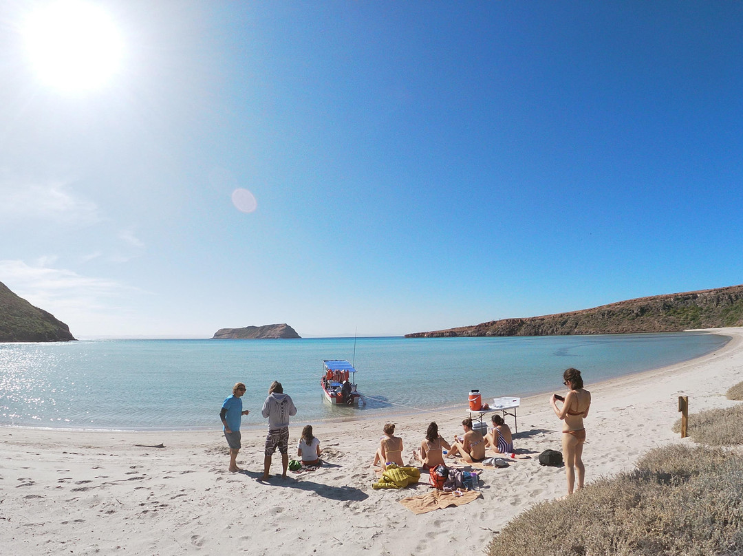 Sea Lions Dive Center-拉巴斯必去景点