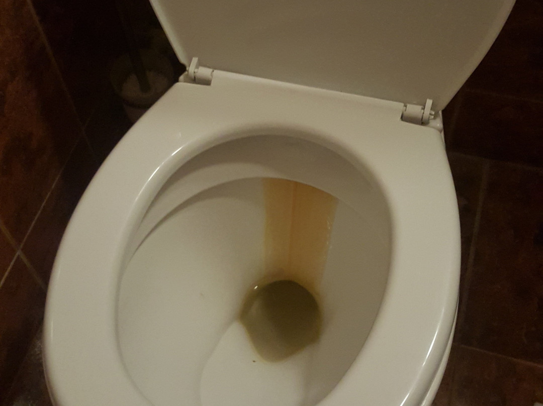 Hotel Venecia Palace主图