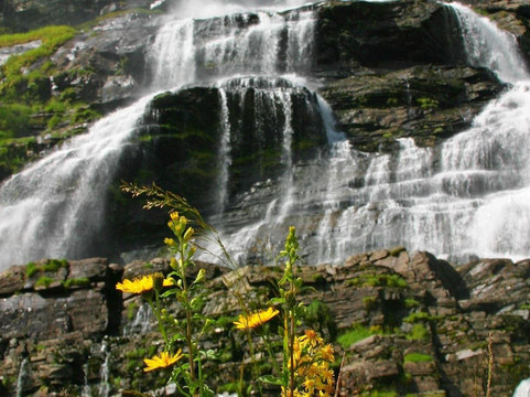 Glaciertour AS-卑尔根必去景点