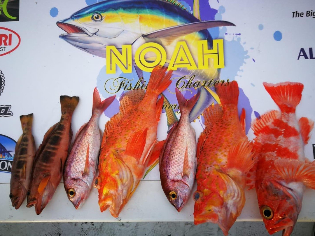 Noah Fishing Charters-奥德杰海岸必去景点
