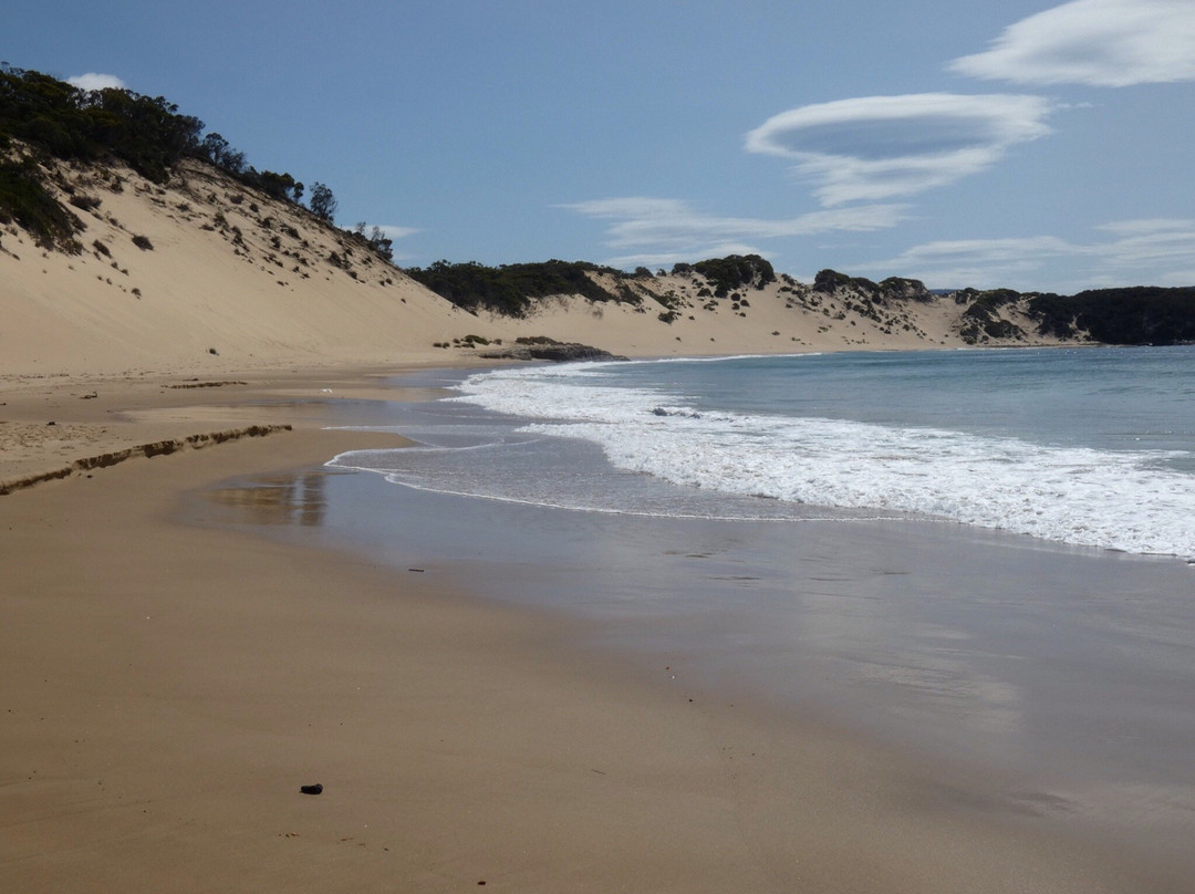 Mount Brown and Crescent Bay Walking Track-亚瑟港必去景点