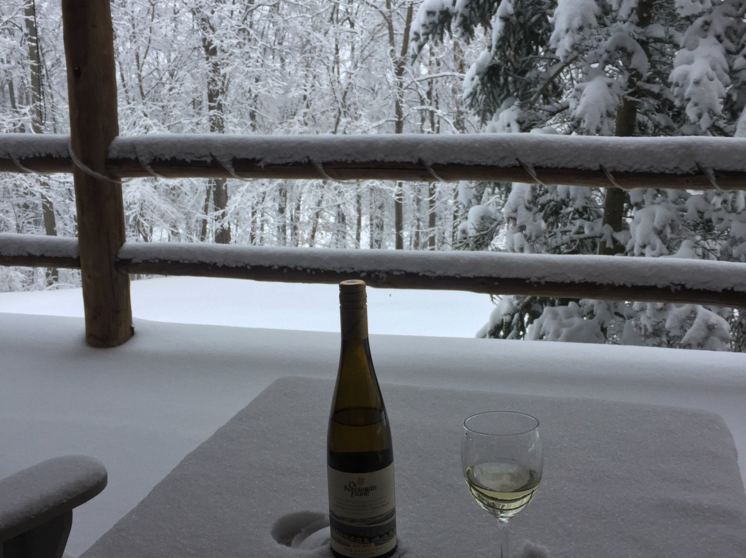 The Chalet of Canandaigua主图