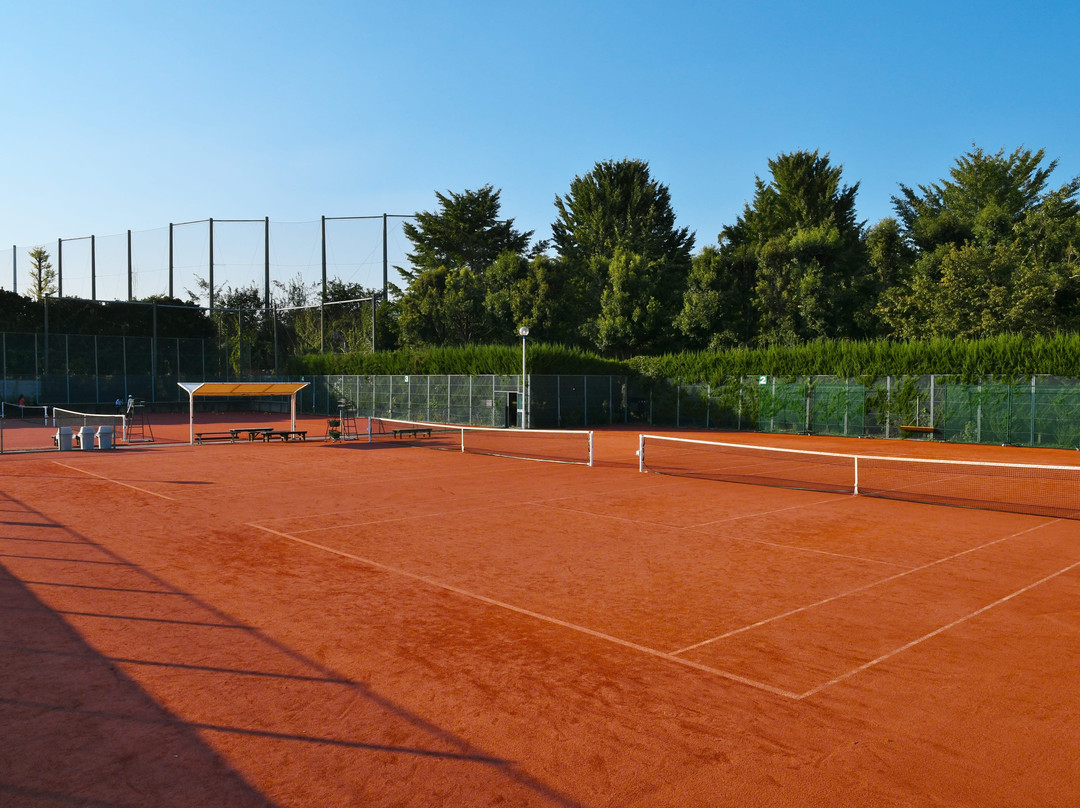 Moripark Tennis Garden景点图片
