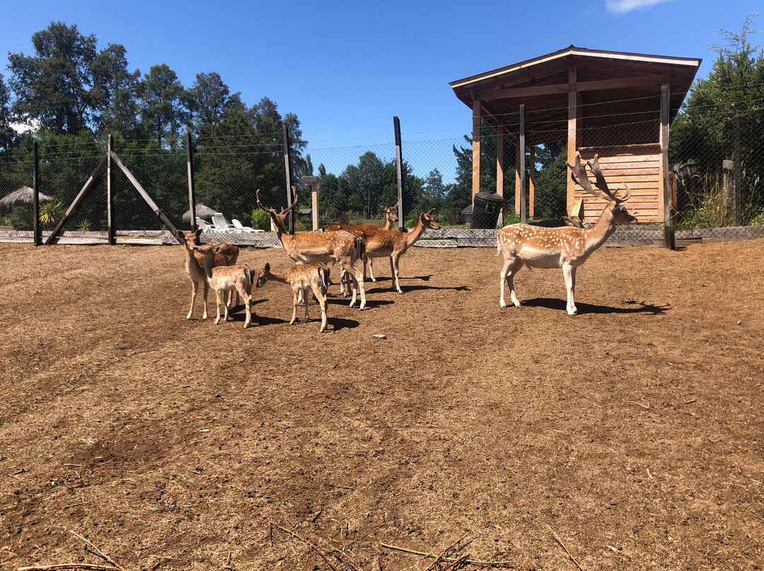 Granja Educativa de Villarrica El Dorado-比亚里卡必去景点