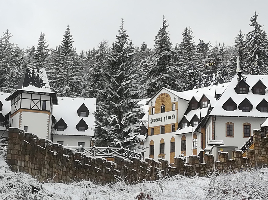 Zámek Lužec Spa & Wellness Resort主图