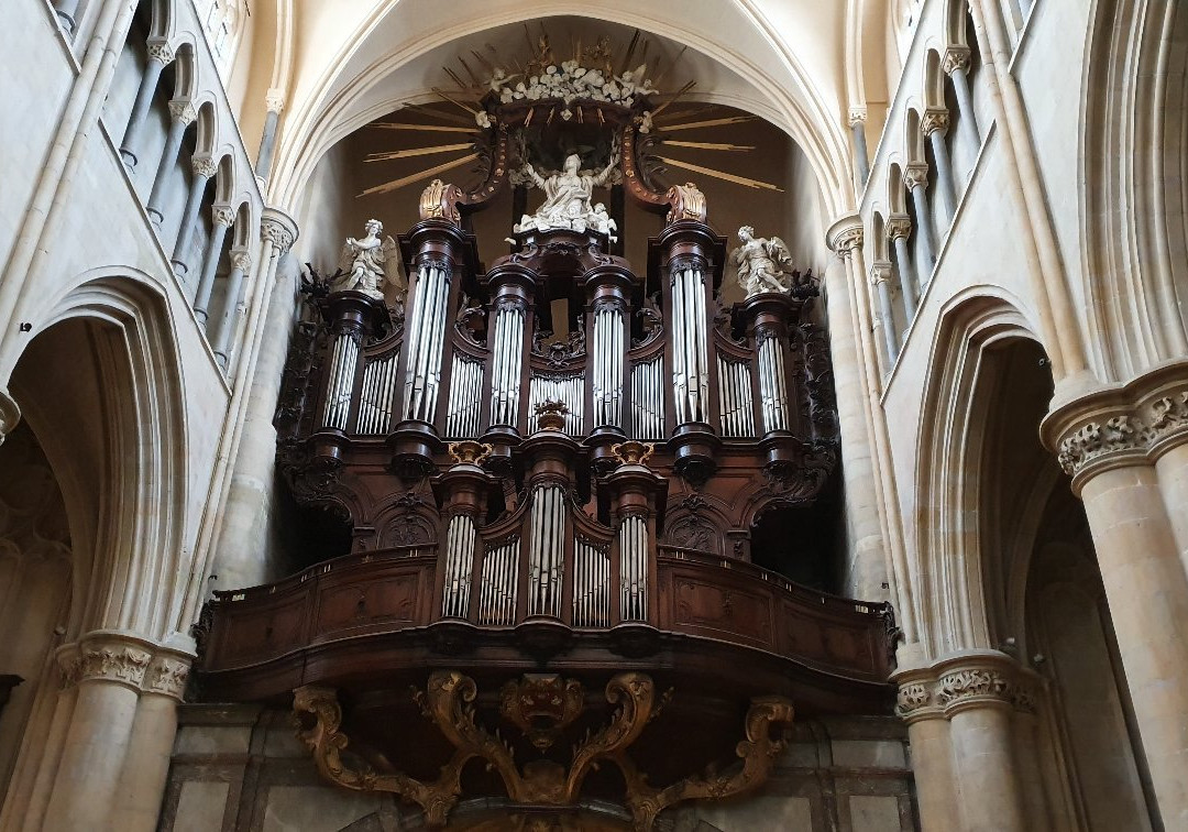 Basilique Notre-Dame De Tongres景点图片