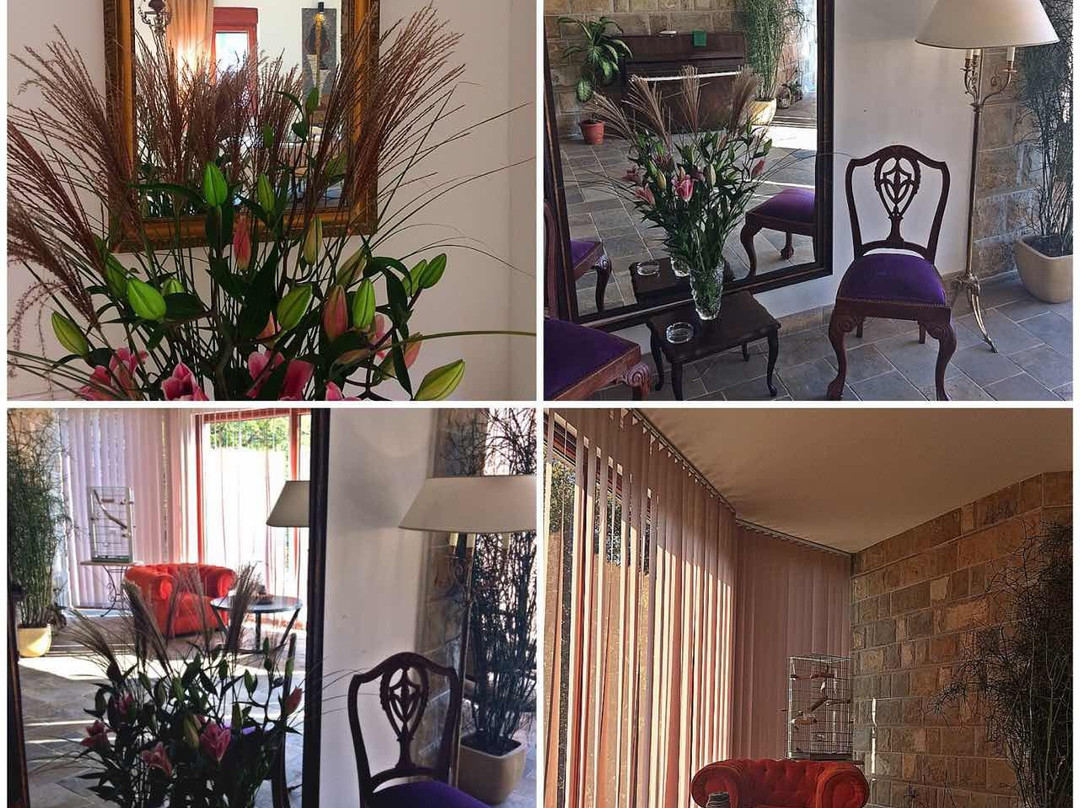 The Belgrade Hills主图