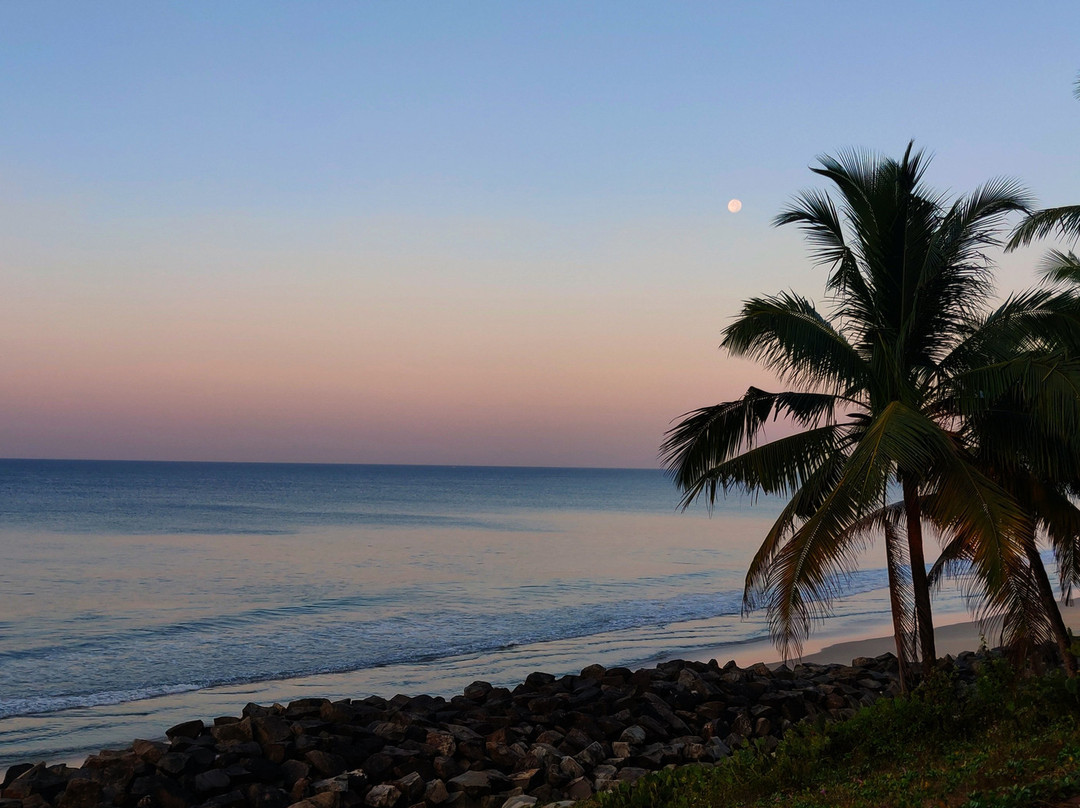 Miracle by the Bay主图