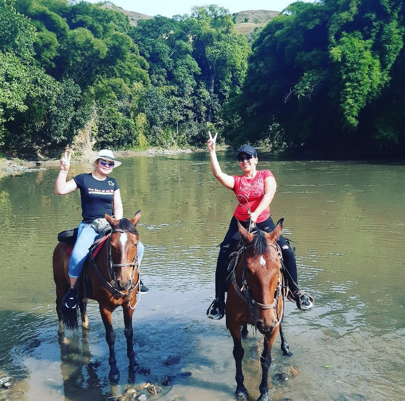 Cabalgatas El Carmelo-La Tebaida必去景点