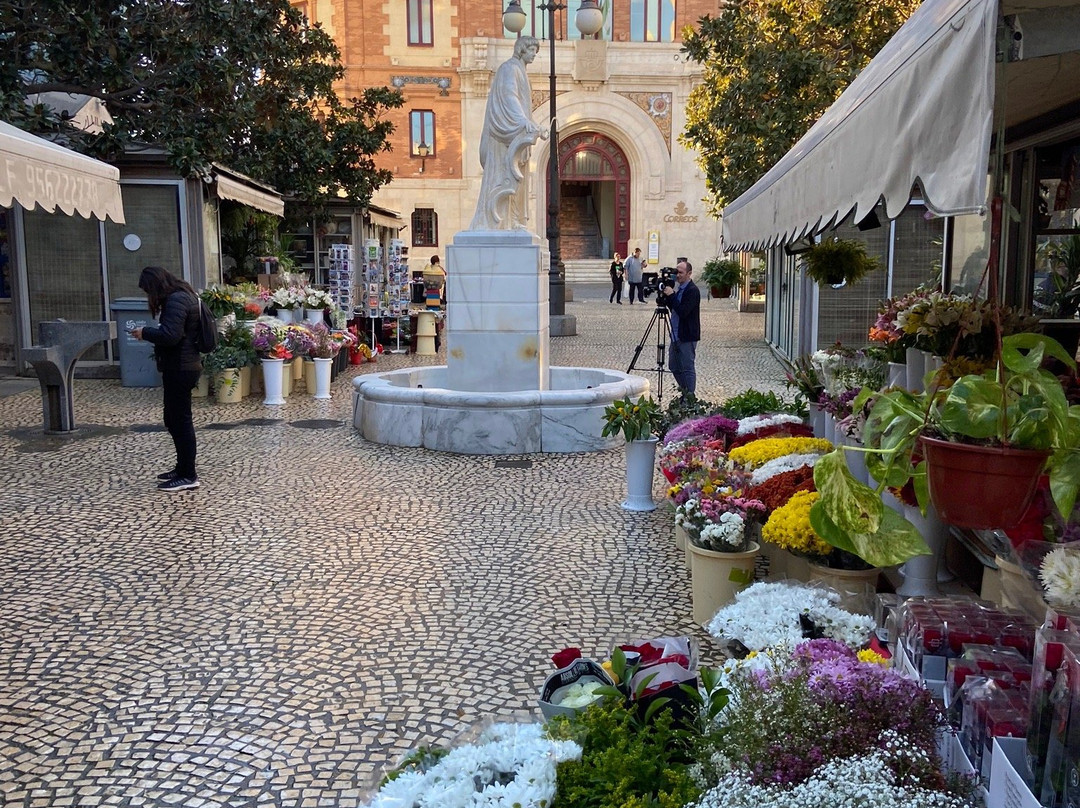 Plaza de Las Flores-加的斯市必去景点