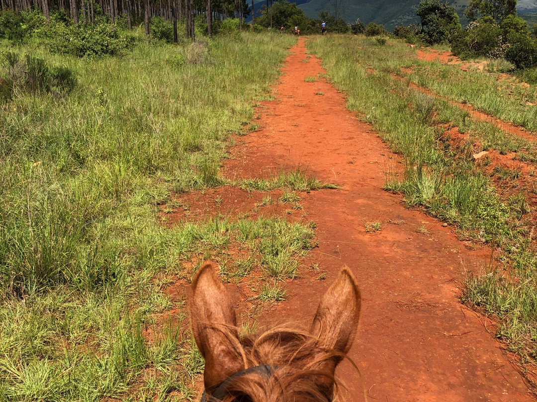 Kaapsehoop Horse Trails Day Trips-Kaapsehoop必去景点