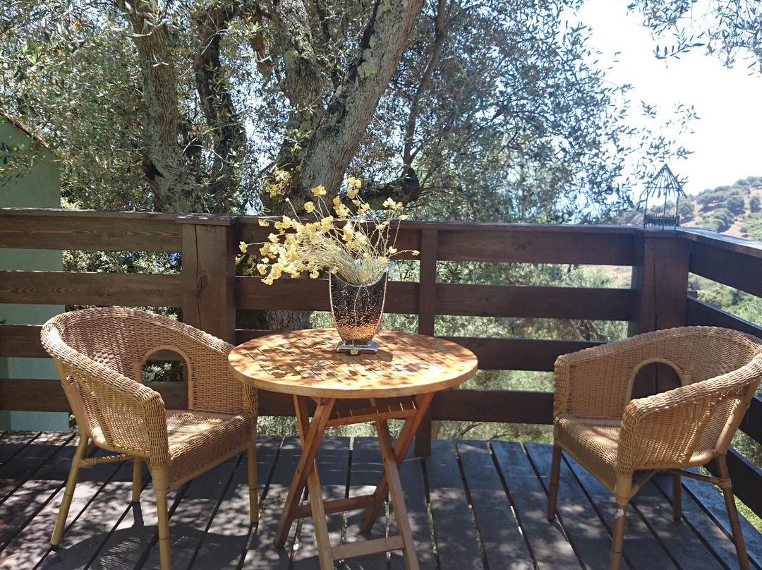 La Pampa Chambres d'hotes Cargese主图