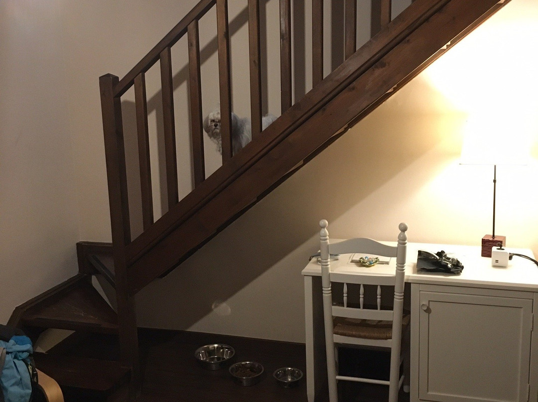 Tierras De Aran主图