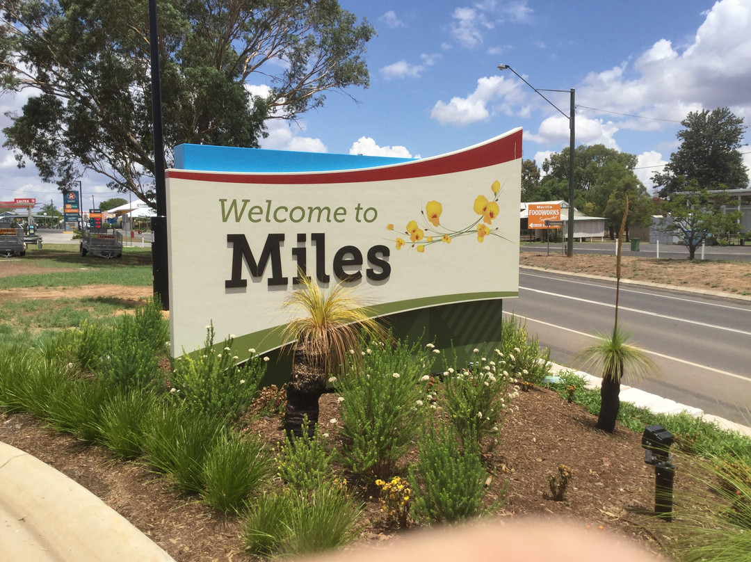 The Swagman Inn主图