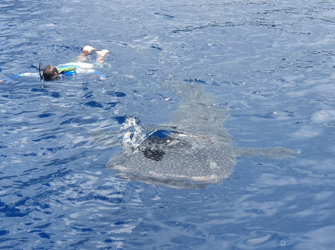 Christmas Island Fishing & Adventure-Flying Fish Cove必去景点