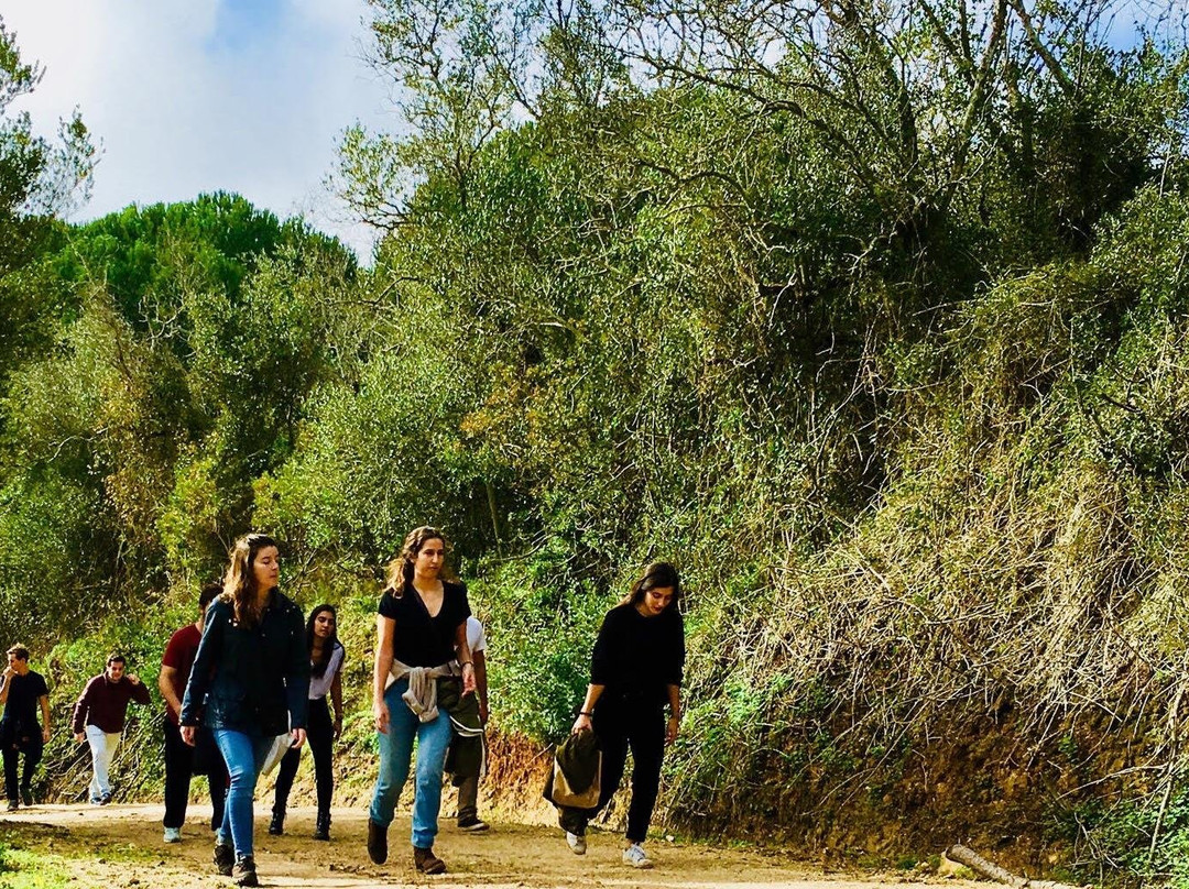 Breathe Arrábida | Tours & Events-Portinho da Arrabida必去景点