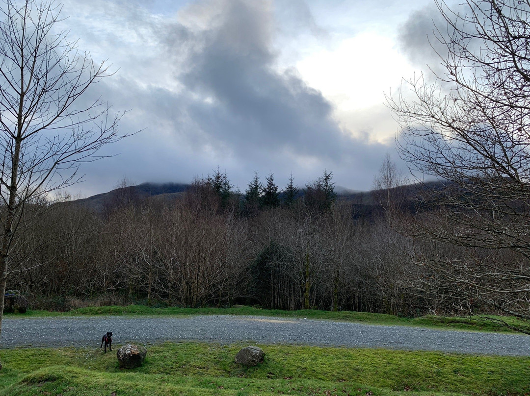 Beddgelert Forest景点图片