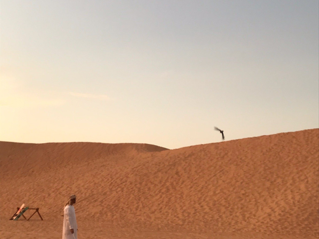 Capital Gate Tourism and Adventure - Day Tours景点图片