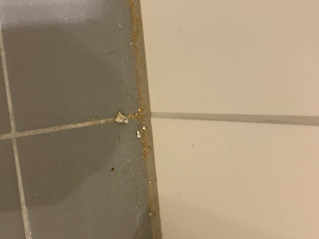希德哈维恩斯堪迪克酒店主图