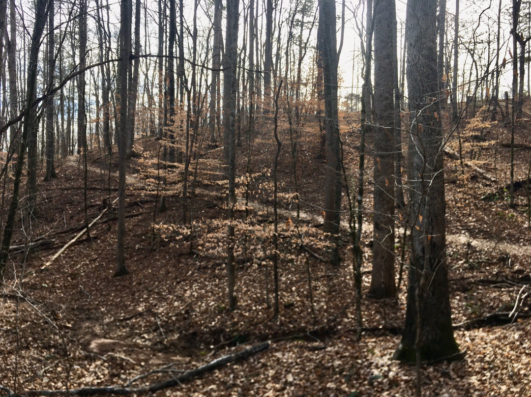 桑迪斯普林斯旅游景点-Island Ford Park