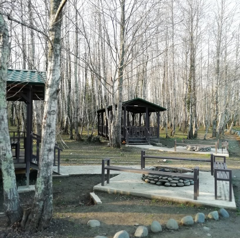 Kolkheti National Park-Poti必去景点