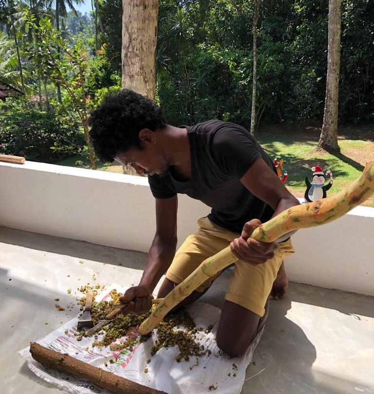 Gandara旅游攻略图片