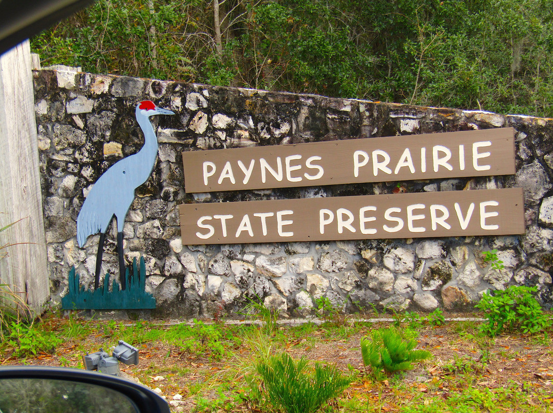 Paynes Prairie景点图片