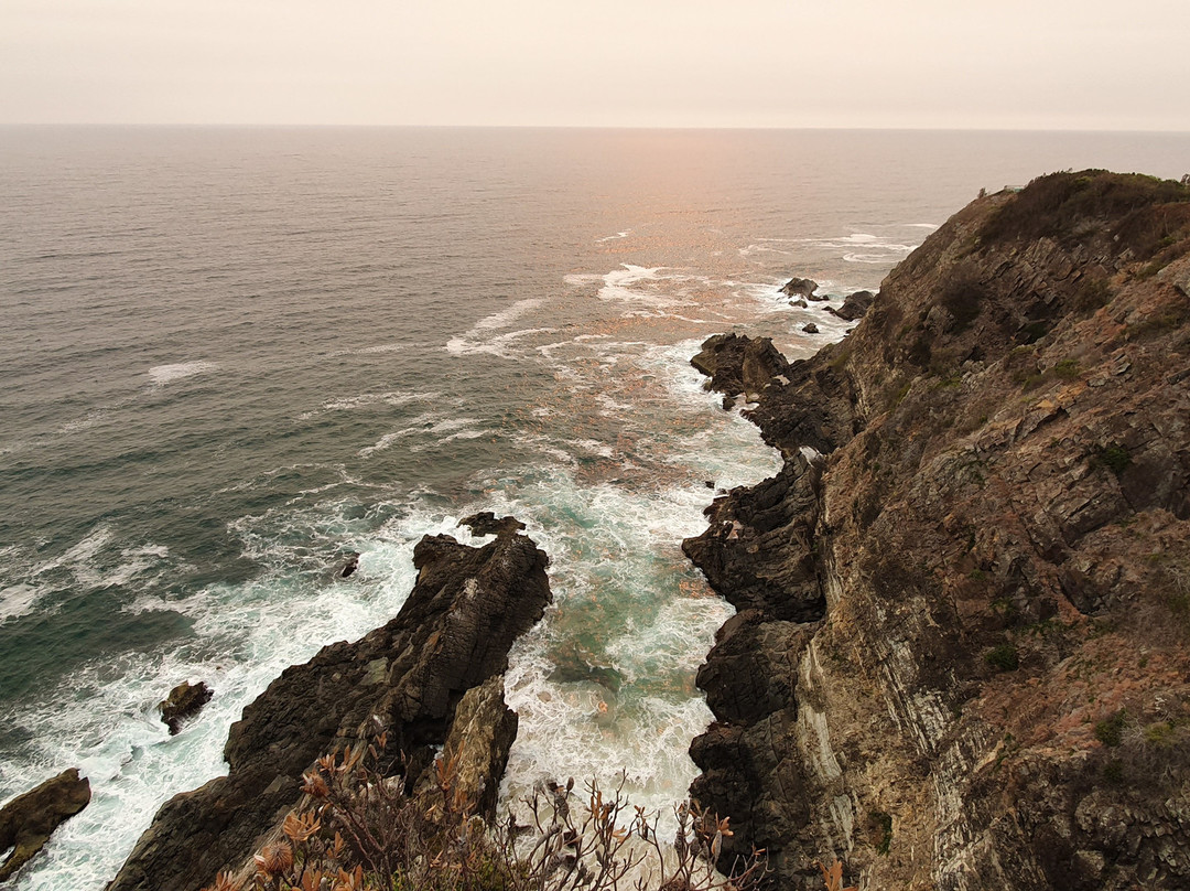 Bennetts Head Lookout景点图片