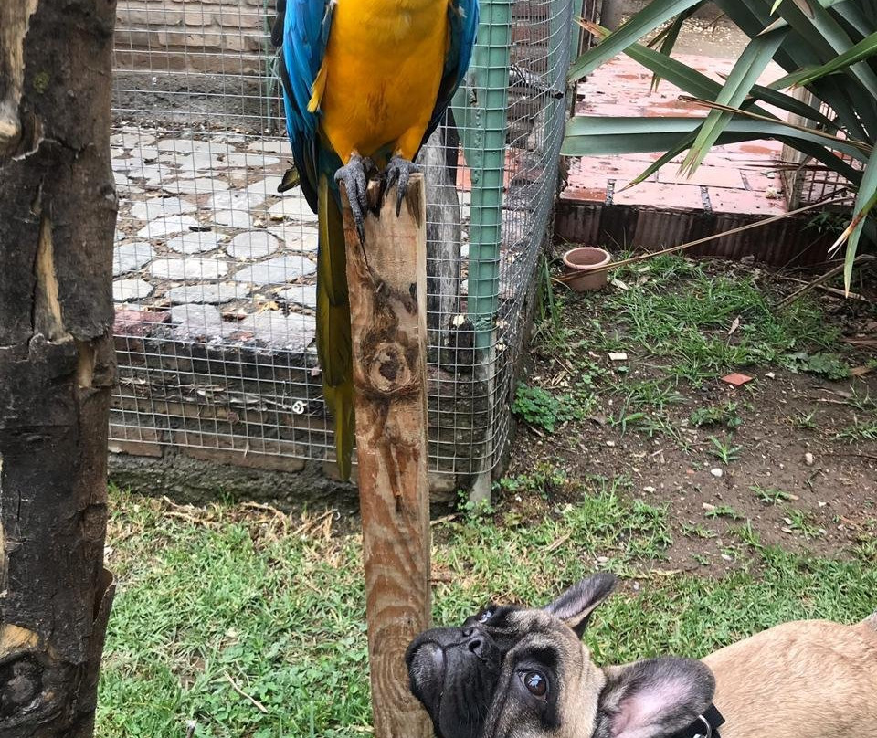 Parque de las Aves Agroflori-科恰班巴必去景点